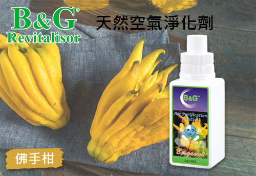 B&G 天然空氣淨化劑-佛手柑  |B&G 草本空氣淨化