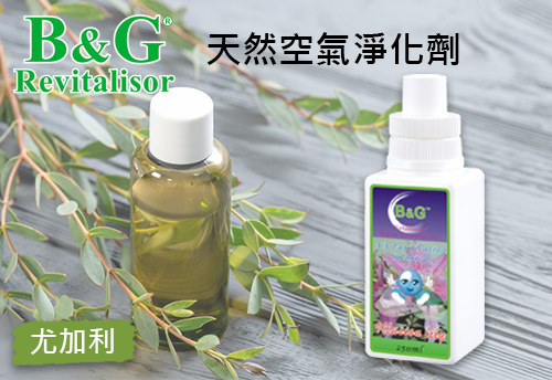 B&G 天然空氣淨化劑-尤加利  |B&G 草本空氣淨化