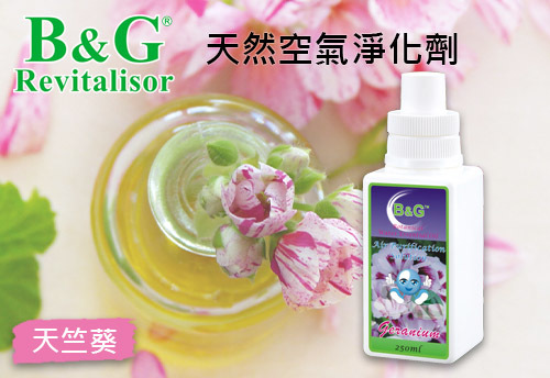 B&G 天然空氣淨化劑-天竺葵  |B&G 草本空氣淨化