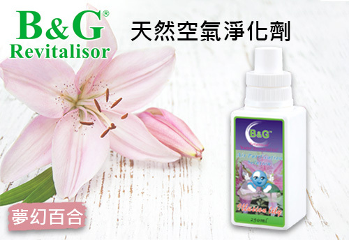 B&G 天然空氣淨化劑-夢幻百合  |B&G 草本空氣淨化