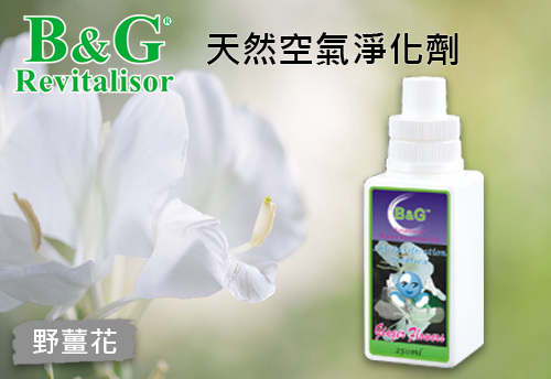 B&G 天然空氣淨化劑-野薑花  |B&G 草本空氣淨化