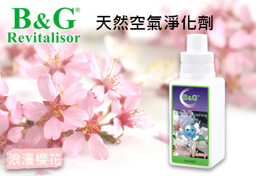 B&G 天然空氣淨化劑-浪漫櫻花  |B&G 草本空氣淨化