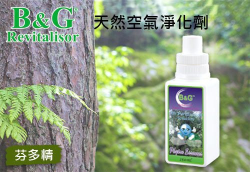 B&G 天然空氣淨化劑-芬多精  |B&G 草本空氣淨化