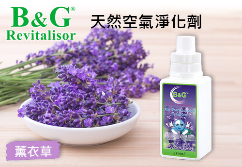 B&G 天然空氣淨化劑-薰衣草  |B&G 草本空氣淨化